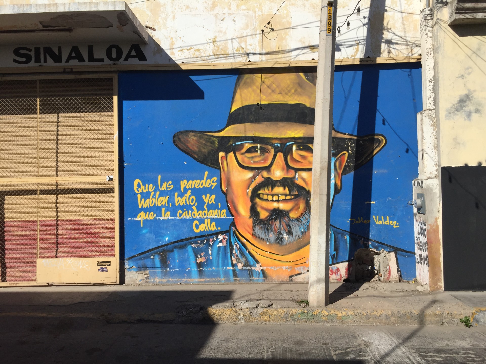 Murder of journalists in Mexico a threat to democracy - Vimarsana News