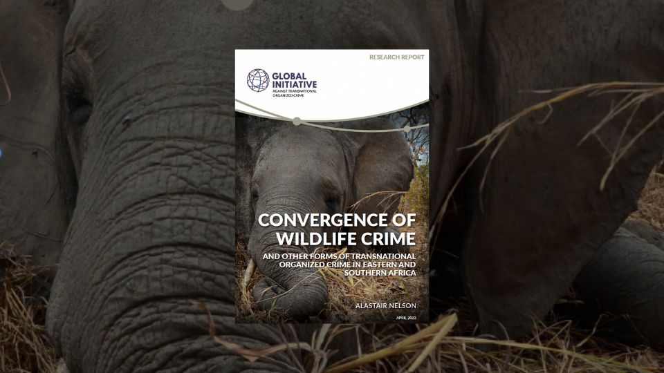 wildlife crime case studies
