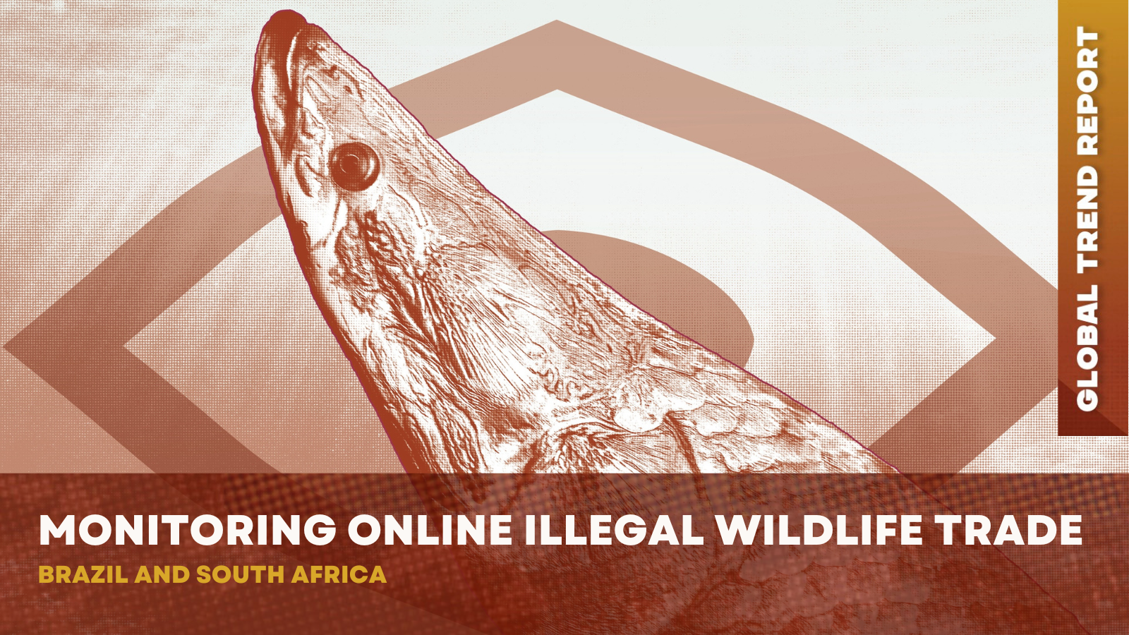 Monitoring online illegal wildlife trade: Insights from Brazil and ...