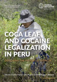Coca leaf and cocaine legalization in Peru | Global Initiative