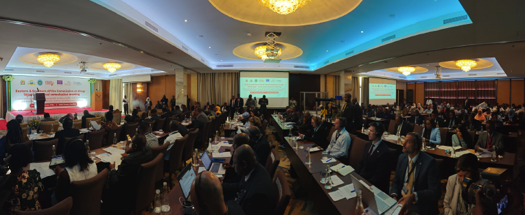 In September 2024, the Eastern and Southern Africa Commission on Drugs held a high-level meeting in Zanzibar to discuss mitigation and harm reduction strategies in response to the escalating illicit drug trade in the region.