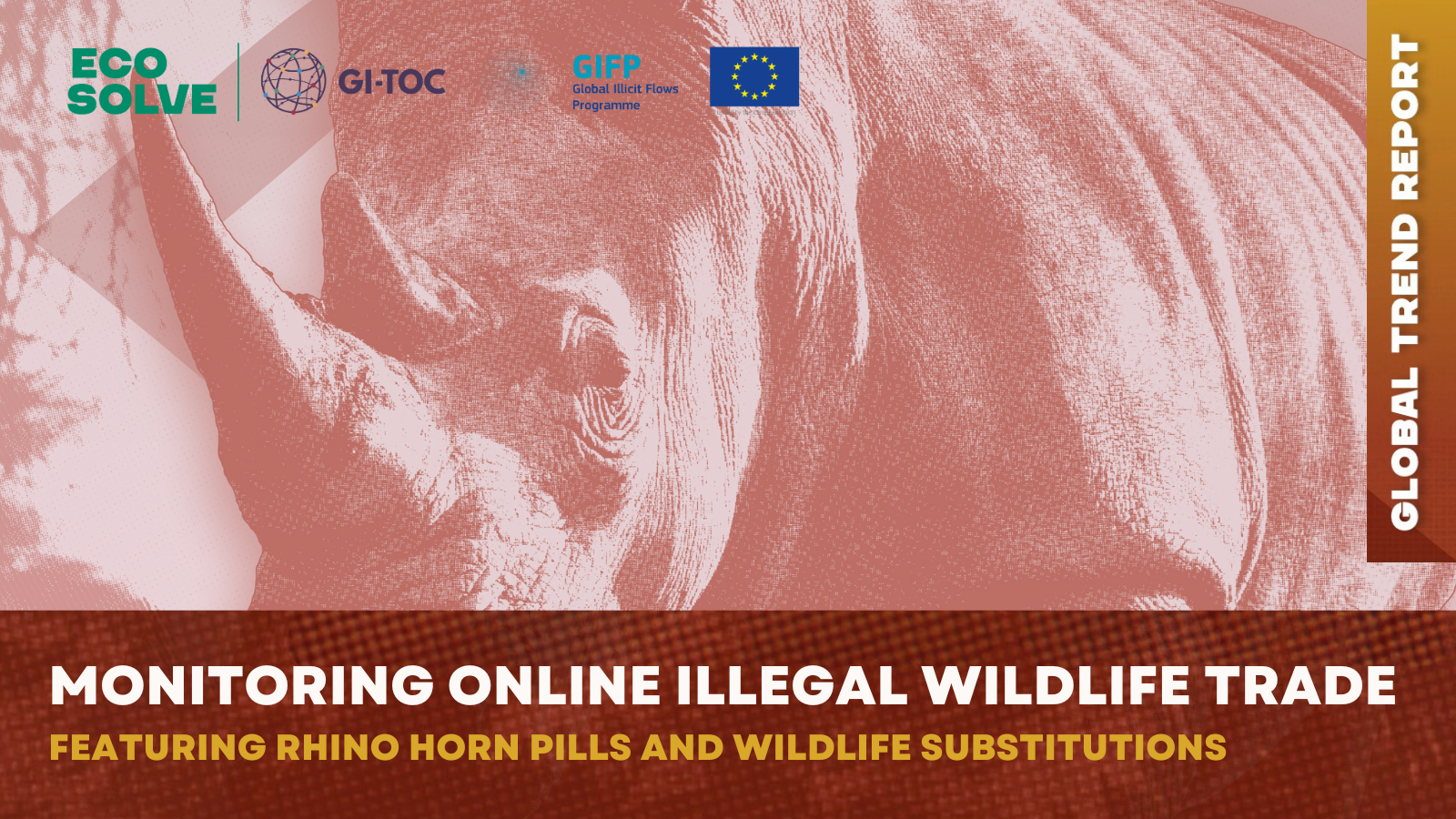 Monitoring online illegal wildlife trade: Featuring rhino horn pills and wildlife substitutions