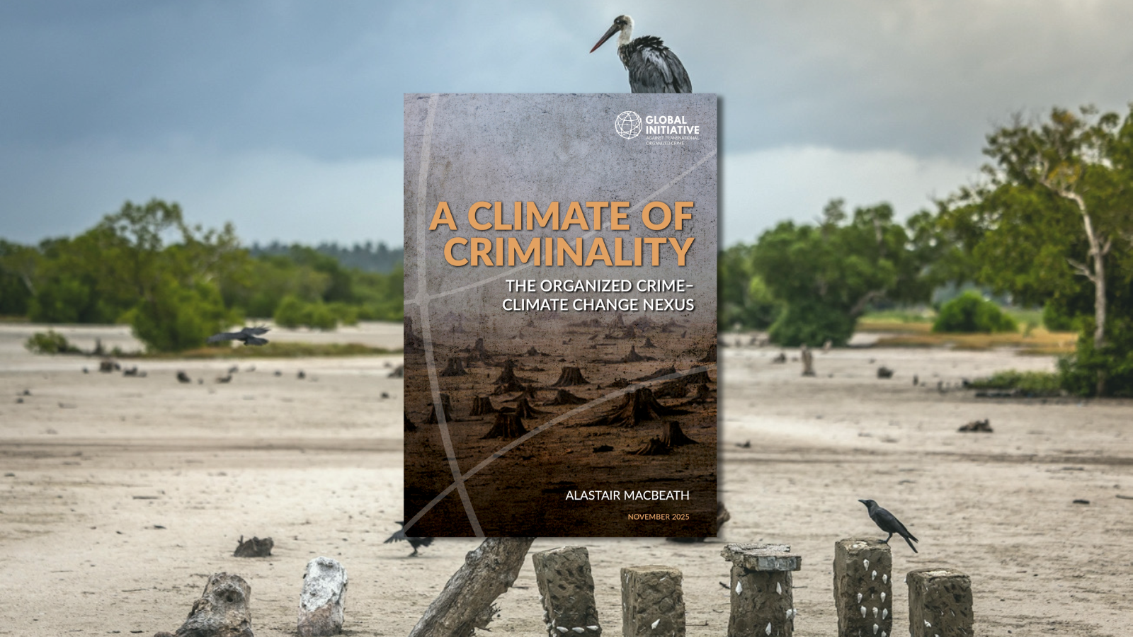 A climate of criminality