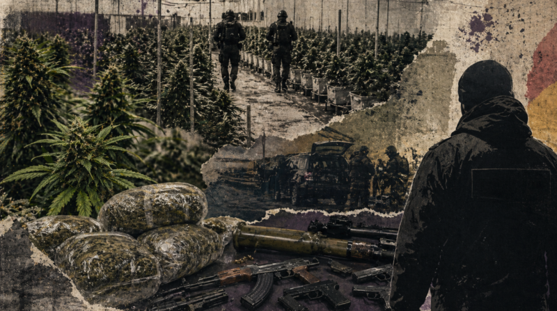 How cannabis legalization reshaped illicit markets in the Western Balkans
