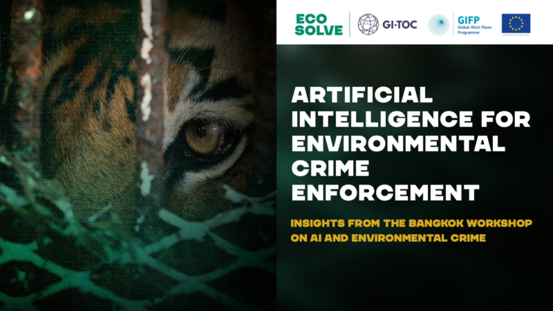 Artificial Intelligence for environmental crime enforcement